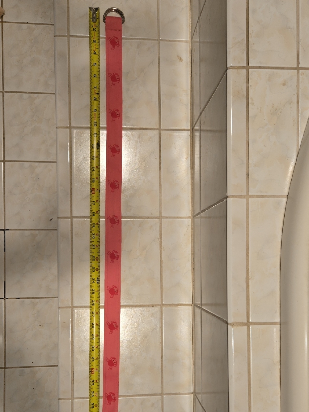 Pink Crab-Print Belt with D-Ring